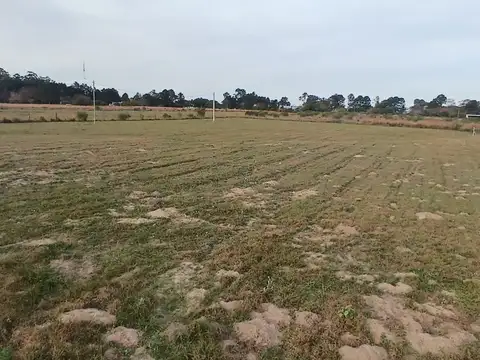 Terreno en Venta en Colonia Carolina, USD 8.500