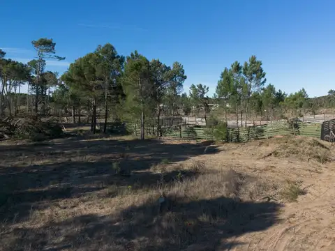 Terreno en Venta en Pinamar Norte, USD 115.000