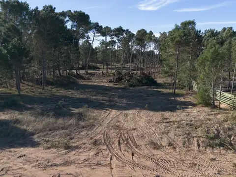 Lote en Venta en Barrio Bosques PINAMAR NORTE