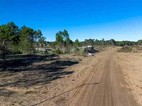 Avenida del Olimpo