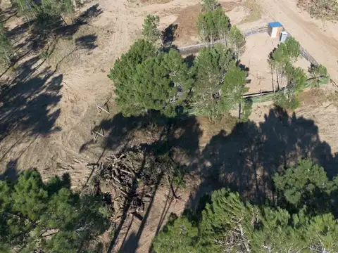 Terreno en Venta en Pinamar Norte, USD 115.000
