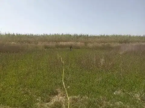 Terreno en Venta de 850,0 m2