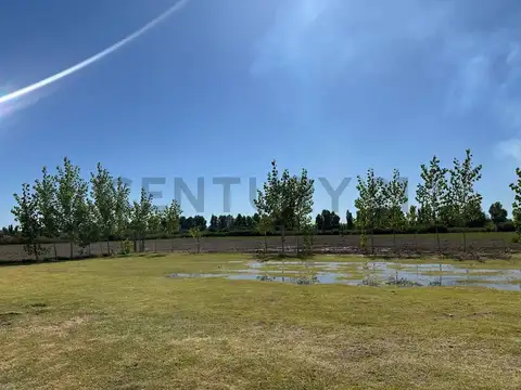 Buenos Aires 400, Piso 0