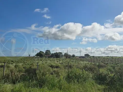 CAMPO EN VENTA EN COLONIA EL POTRERO