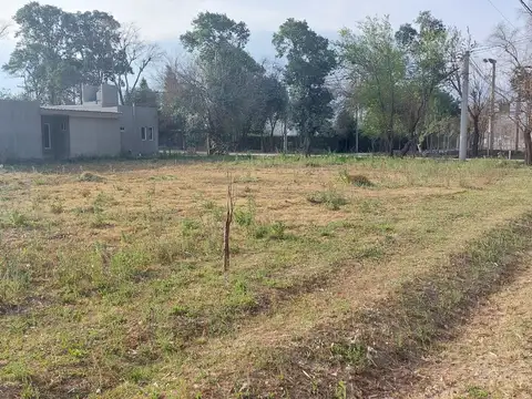 Cerrillos. Los Olmos. Mza 2. Lote 100