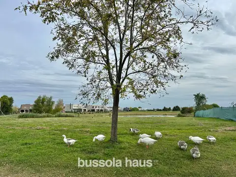 Terreno en Venta de 784,0 m2