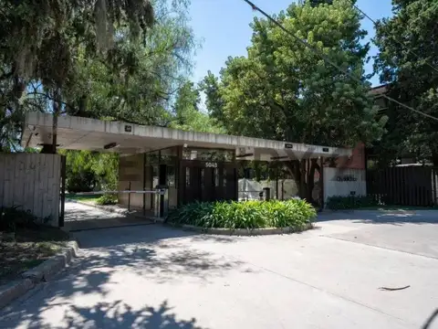 20 y 481