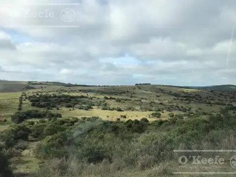 Campo en venta de 876 has Cerro Largo, Uruguay