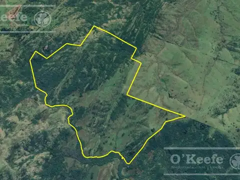 Campo en venta de 876 has Cerro Largo, Uruguay