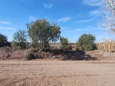 TERRENO IDEAL PARA LOTEO SOBRE CALLE TERRADA, LUJAN DE CUYO