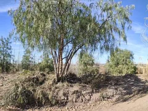 Terreno en Venta 350  mts Fondo