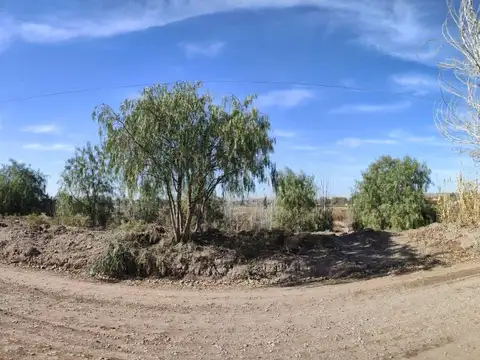 TERRENO IDEAL PARA LOTEO SOBRE CALLE TERRADA, LUJAN DE CUYO