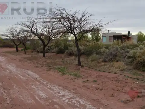 Terreno en Venta 37  mts Fondo