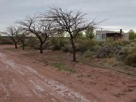 Terreno en Venta 37  mts Fondo