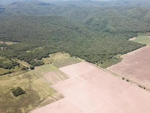 Finca en  santa clara