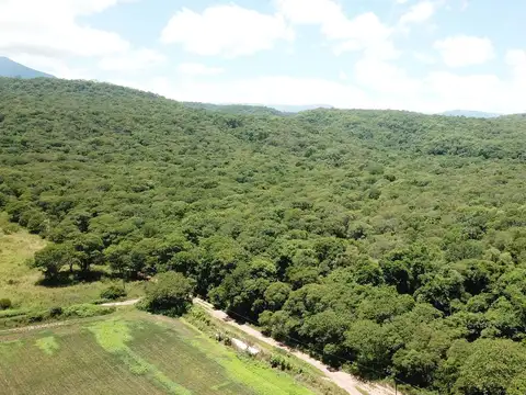 Finca en  santa clara