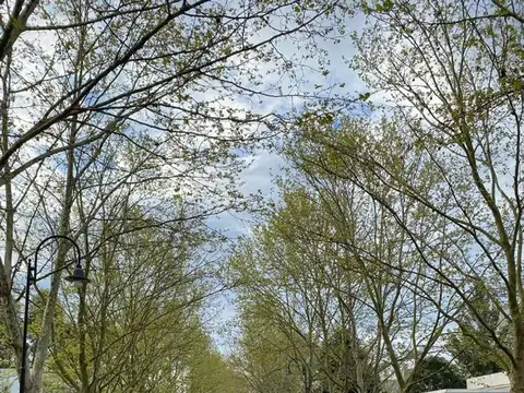 Terreno en Venta de 1285,0 m2