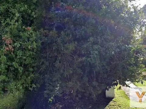 Casa en Alquiler Temporal de 2 dormitorios