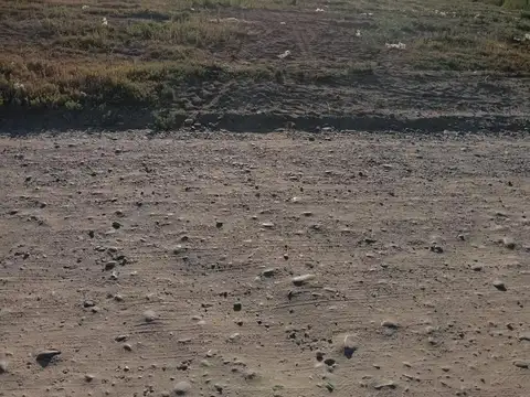 Terreno en Venta en General Roca, USD 33.000