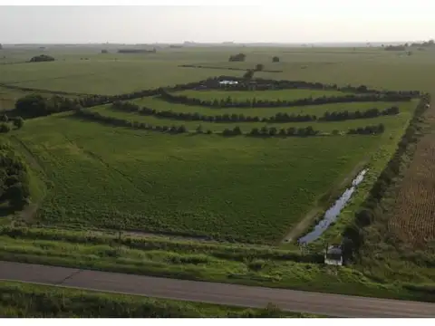 Campo de 7 hectareas con casa, sobre ruta. Con todos los servicios instalados