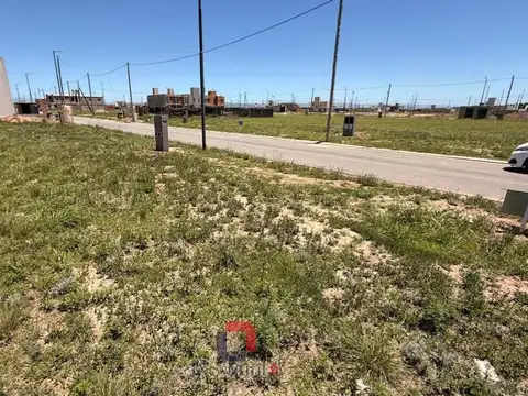 Terreno en Venta de 250,0 m2