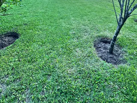 Terreno en venta en Barrancas de San José