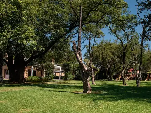 Terreno en Venta de 481,0 m2