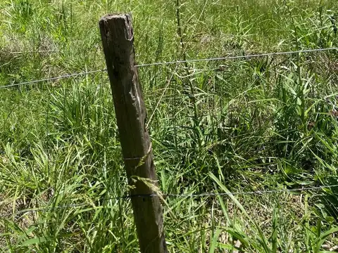 Terreno en Venta de 625,0 m2