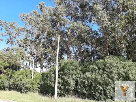 Terreno en venta - 1.875Mts2 - Miramar