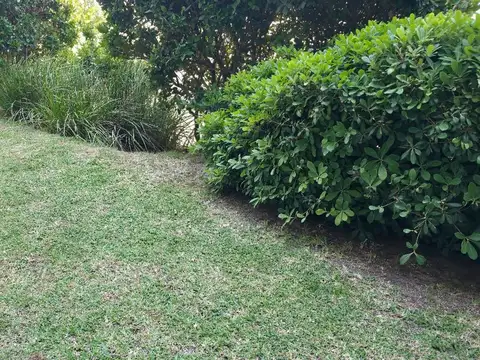 USD 750 ALQUILER ANUAL PB 2 AMB. Y MEDIO + PATIO C/ COCH.