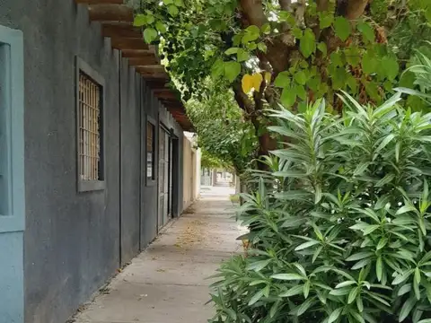 El Portal 5 100