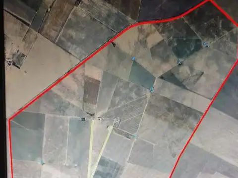 Oportunidad! 1950 has productivas- La Toma, Pringles, San Luis