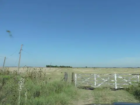 Campo en venta mixto en San Vicente 160 has