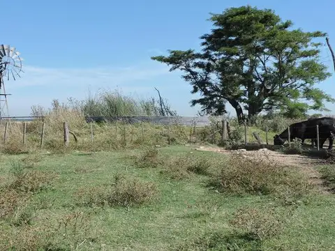 Campo en venta mixto en San Vicente 160 has