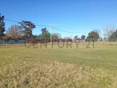 Terreno en Venta de 350,0 m2