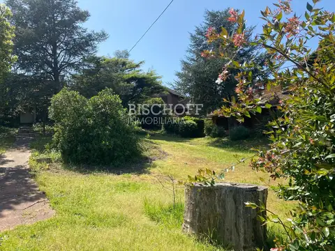 AMPLIO TERRENO MULTIFAMILIAR CON CASA A RECICLAR, ZONA CENTRO