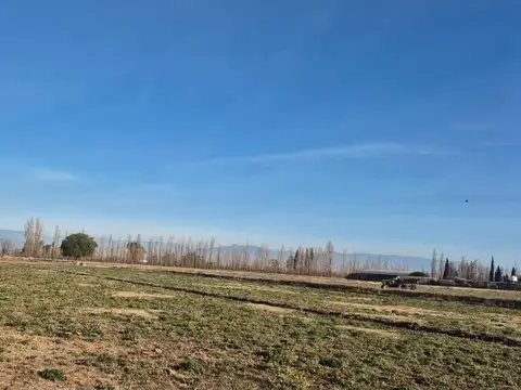 CORREA Y BELGRANO 100