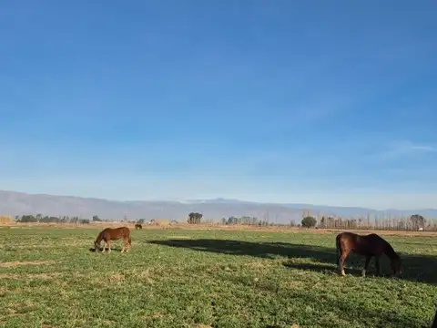 Terreno en Venta de 160000,0 m2