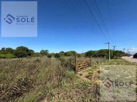 Terreno en Venta de 1288,0 m2