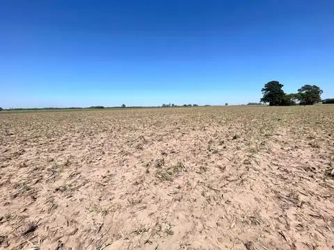 Campo en  Soldini / Santa Fe al 0