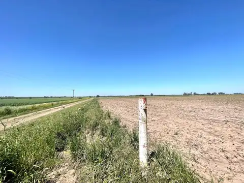 Venta de Campo ganadero en Soldini
