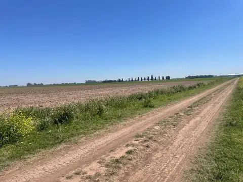 Campo en  Sodini / Santa Fe al 0