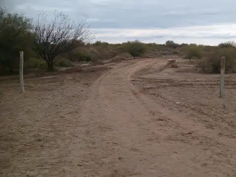 CAMPO EN VENTA LAVALLE - PRODUCCIÓN AGRÍCOLA GANADERA EÓLICA-