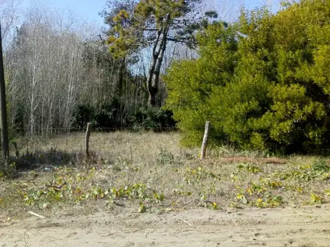 Seaver entre Belfast y Cefiro