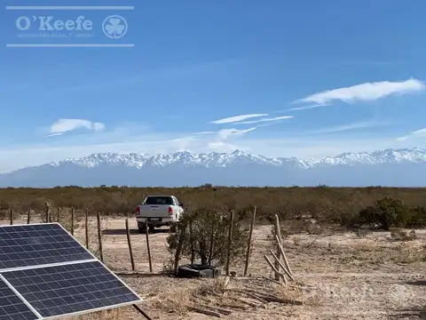 Campo en venta 1400 has  fraccionables Zapata, Mendoza. Apto Cultivos Intensivos de gran rentabilidad !!!