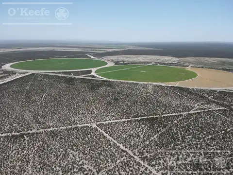 Campo en venta 1400 has en fracciones Zapata, Mendoza. Apto Cultivos Extensivos  