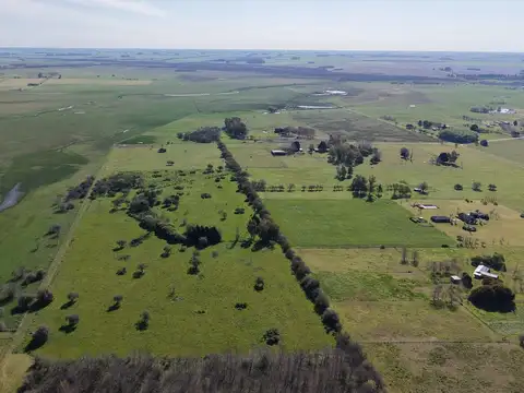11,5 ha – Casa de Campo con Dos Viviendas y Pileta en El Chajá