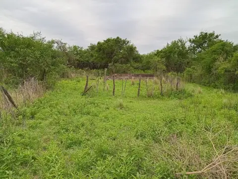 Terreno en Venta de 10000,0 m2