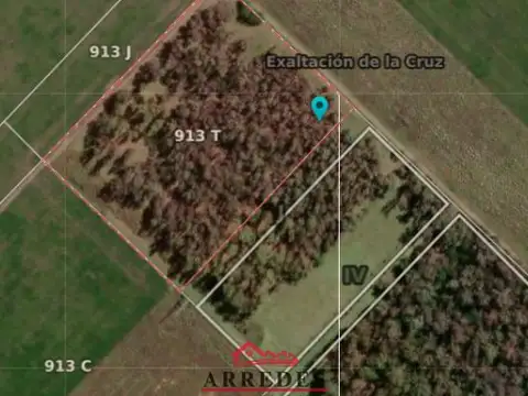 Venta · Campo de 4ha · Arbolado · Monte Hoffmann · Exaltación de la Cruz