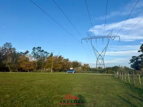 Venta · Campo de 4ha · Arbolado · Monte Hoffmann · Exaltación de la Cruz